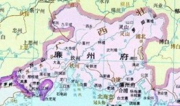 广西打架案件爆料最新进展,案情升级，警方全力追查真相